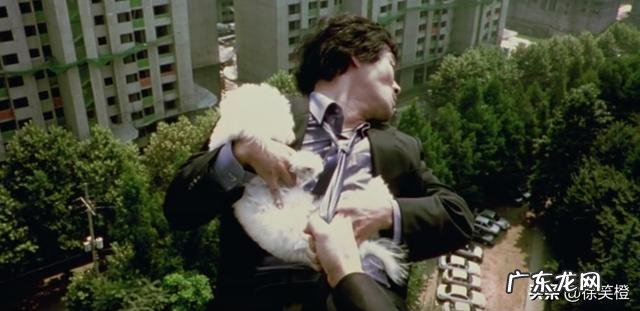 能给我推荐几部能学到韩语的电影吗？