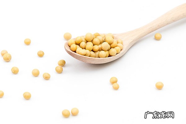 虾和7种食物不能一起吃