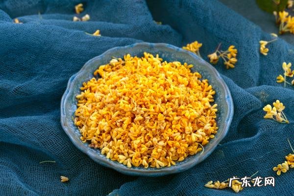 三天去除口臭,5个消除口臭的方法