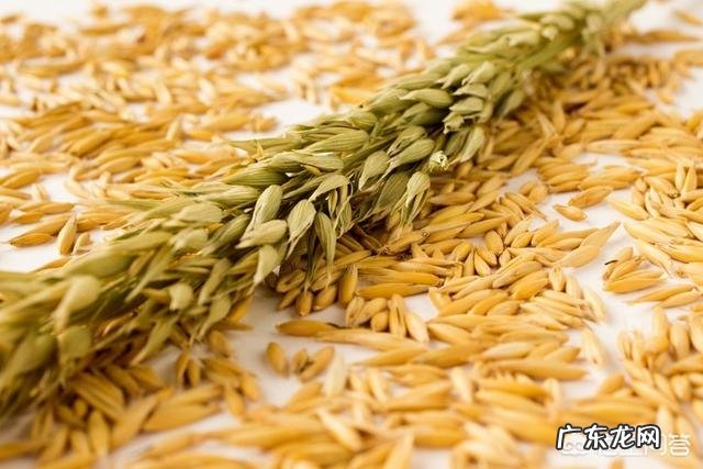 有什么食疗可以降低血脂?