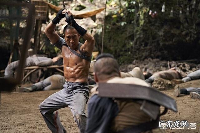 类似于重生和突袭之类的电影 有没有像《重生》《突袭》这类打斗很过瘾的电影?