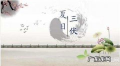 2017年三伏天什么时候开始？