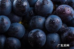 8种祛斑小偏方，简单方便还省钱的祛斑方法