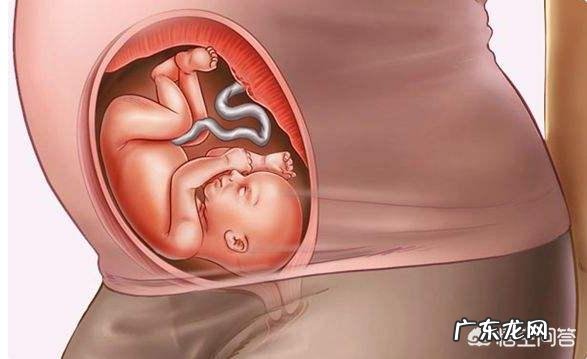 孕25周,胃酸容易饿正常吗?