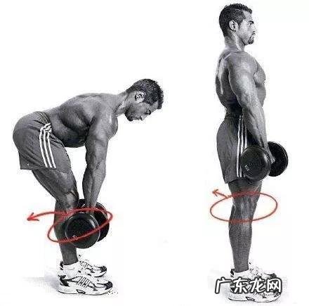 有腹肌的人在放松状态下也会有小肚子吗?