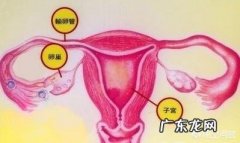 卵巢囊肿是怎么形成的原因？