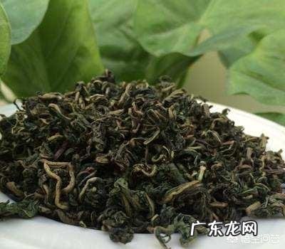 蒲公英可以做哪些药 蒲公英与哪些药不可以同吃？