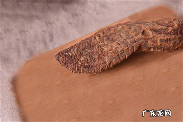 详解 肉苁蓉泡水喝的方法,肉苁蓉泡水喝步骤