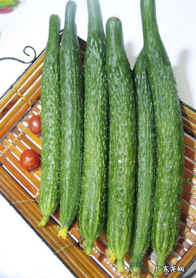 晚上吃什么不胖又解馋 有什么适合睡前吃的，不容易胖也解馋？