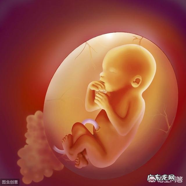 宝宝宫内发育迟缓影响大吗