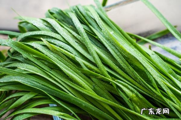 李时珍大全治便秘偏方，安全解决便秘的偏方