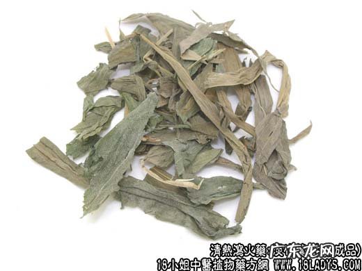 淡竹叶图片_淡竹叶的功效与作用