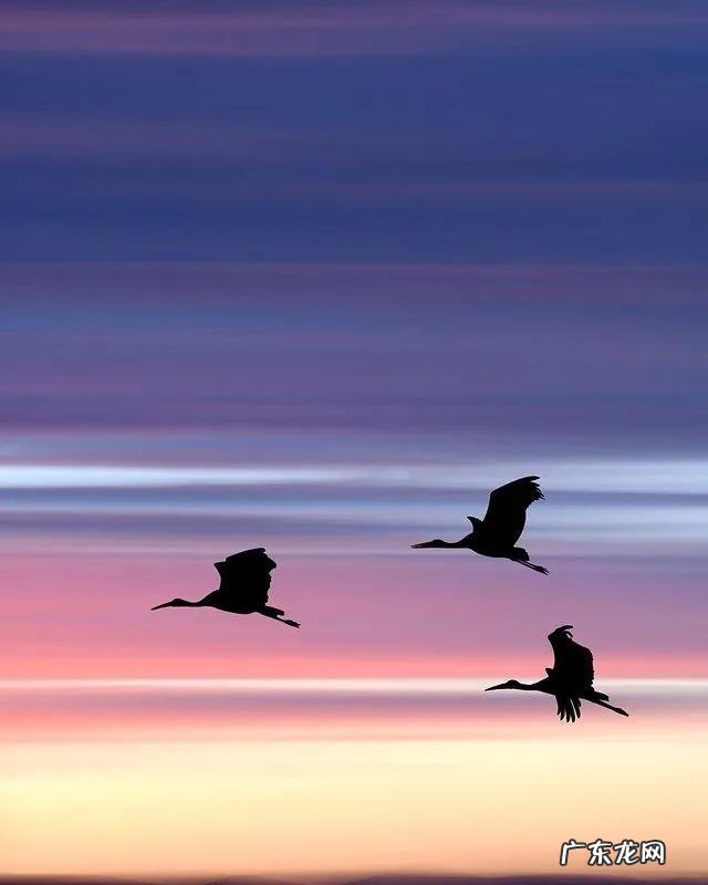 你听过哪些可爱到炸的句子？