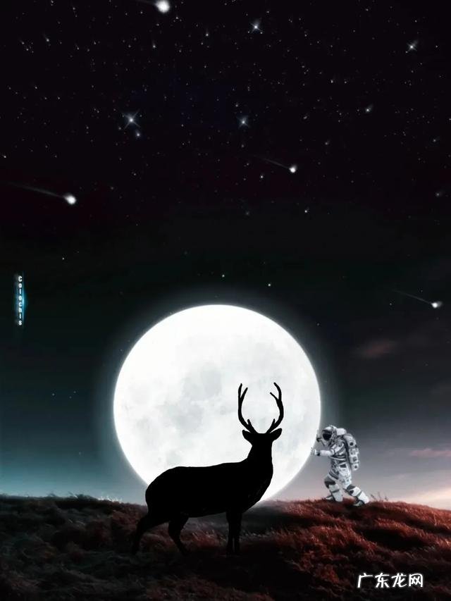 你听过哪些可爱到炸的句子？