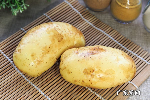 土豆怎么保存不发绿不长牙