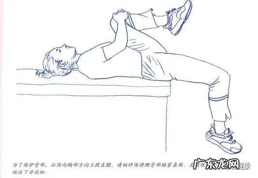 久坐要注意髂腰肌的拉伸