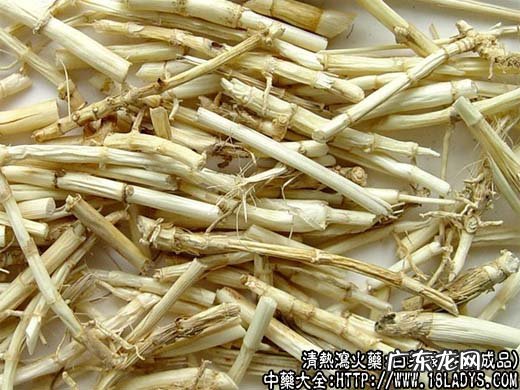 白茅根图片_白茅根的功效与作用