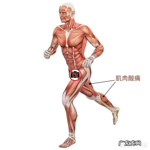 为什么前一天晚上锻炼身体后，第二天会浑身酸痛四肢无力？