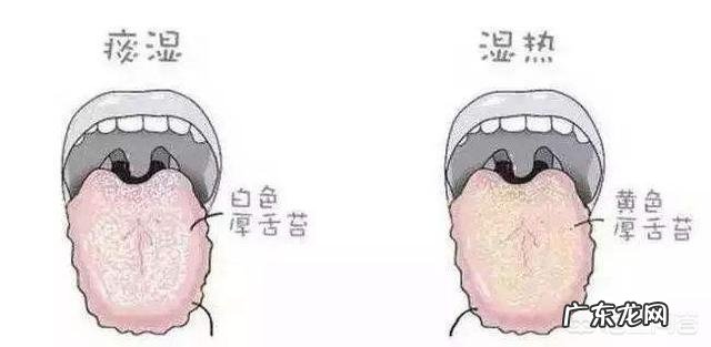 三伏天出现6个症状,说明湿气已经入侵身体,具体是指哪些症状?