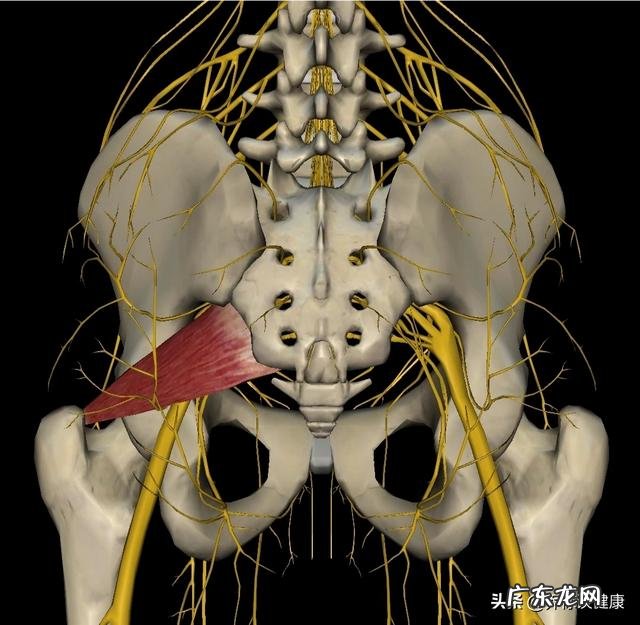 为什么跑完步之后小腿觉得涨,还有点胀痛感觉,应该如何缓解?