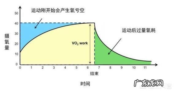 健身能排出昨晚喝酒的酒精吗？