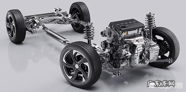 现在想养牛,是买小牛好还是买大牛好?