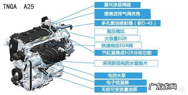 现在想养牛,是买小牛好还是买大牛好?