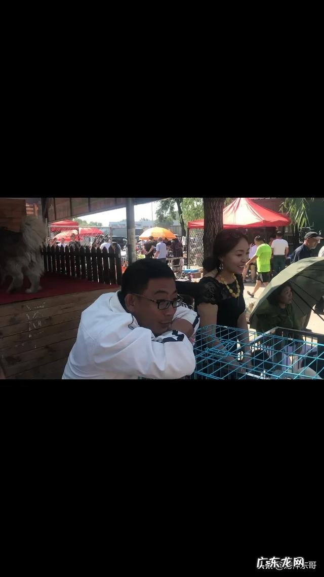 卡斯罗公犬长大能吃多少狗粮一天?