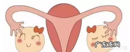 哪些生活习惯伤害卵巢 哪些生活禁忌会影响卵巢功能?