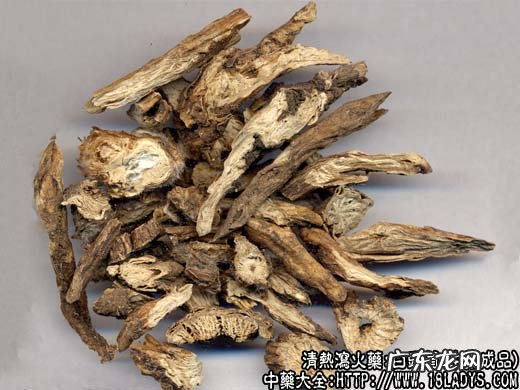 白头翁图片_白头翁的功效与作用