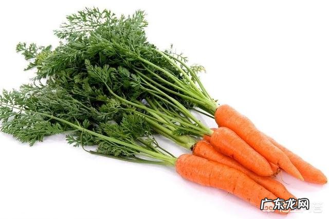 胡萝卜跟鸡蛋能怎么熬汤?