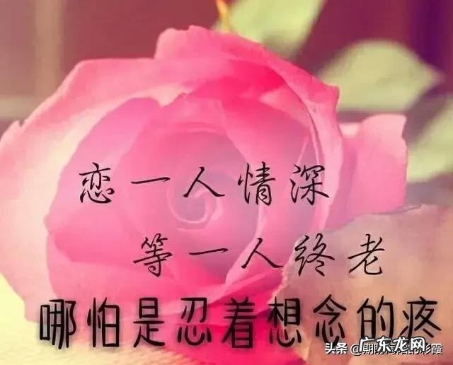 让女生动情,有哪些方法?