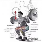 健身到底要不要练腿为什么有的人提倡练上半身就好了