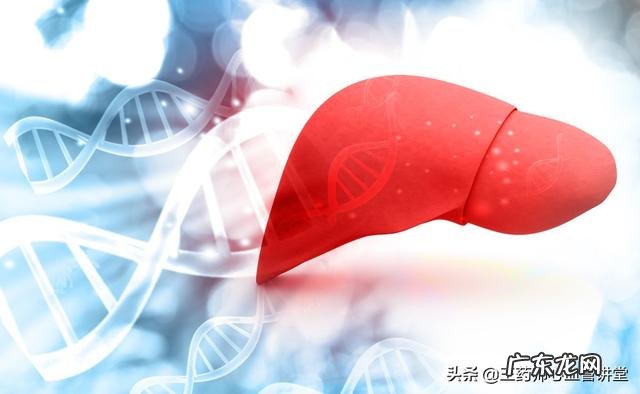 得了脂肪肝在饮食和生活上需要注意什么