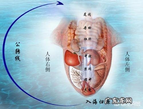 有没有湿气,看舌头就知道,具体怎么看