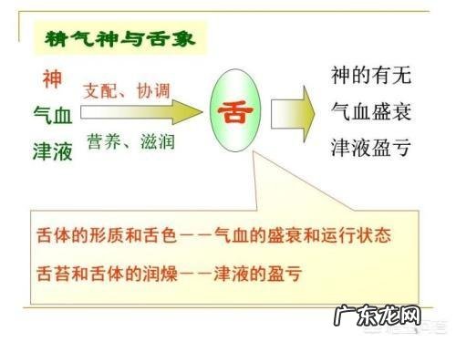 有没有湿气,看舌头就知道,具体怎么看