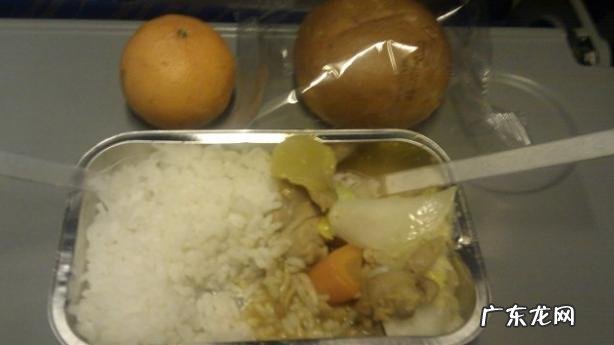 你吃过最难吃的飞机餐是什么