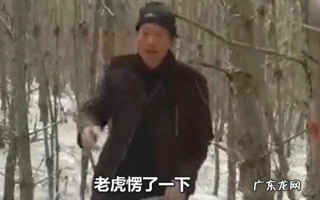 老虎的命门在哪里野外遭遇老虎时，怎么做才是正确的自救方法