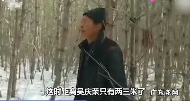 老虎的命门在哪里野外遭遇老虎时，怎么做才是正确的自救方法