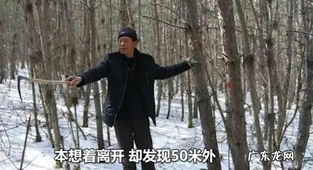 老虎的命门在哪里野外遭遇老虎时，怎么做才是正确的自救方法