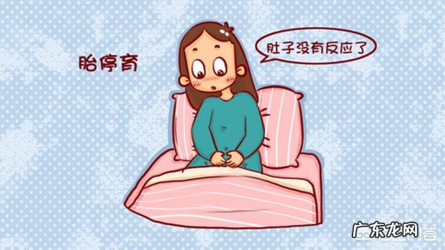 两次中孕期胎停,染色体正常,还需要查那些