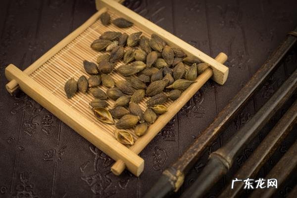 苍耳子鼻炎偏方简直太神了，治疗长期鼻炎简单有效