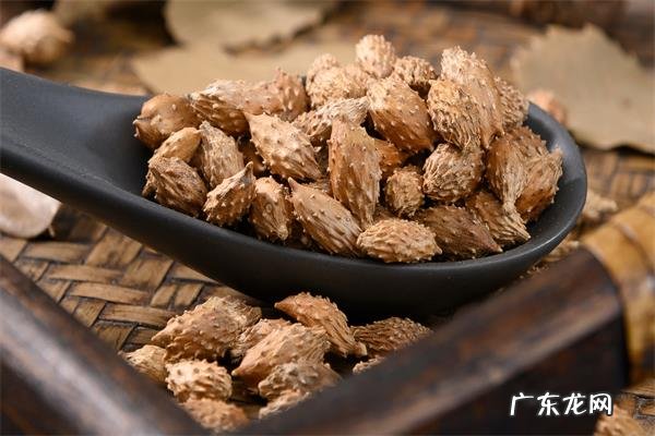 苍耳子鼻炎偏方简直太神了，治疗长期鼻炎简单有效