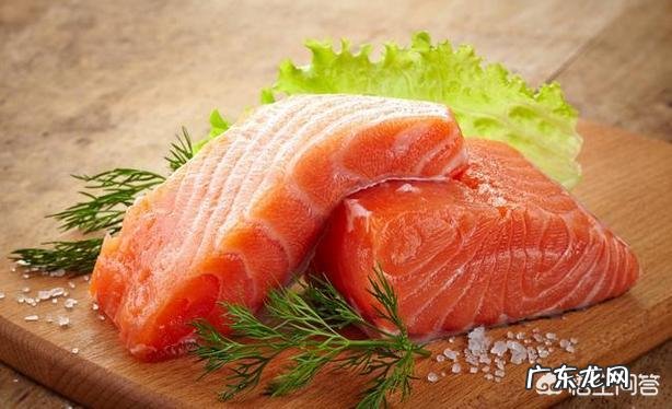 泰迪犬除了吃狗粮,还能吃哪些食物