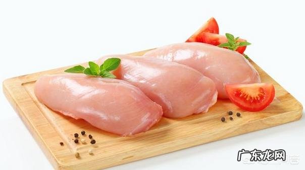 泰迪犬除了吃狗粮,还能吃哪些食物