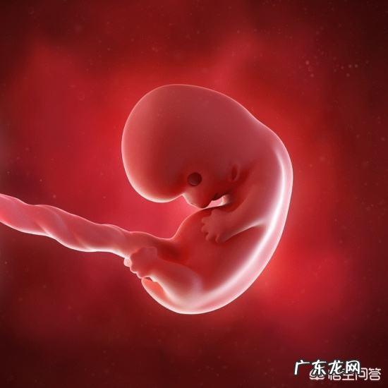 怀孕时要不要有意识地控制饮食，不让体重增加太多？怎样控制？