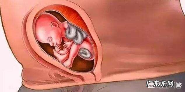 怀孕时要不要有意识地控制饮食，不让体重增加太多？怎样控制？