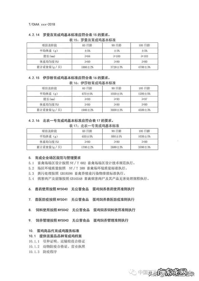 青年鸡行业现在什么状况听说“违约”的情况非常多