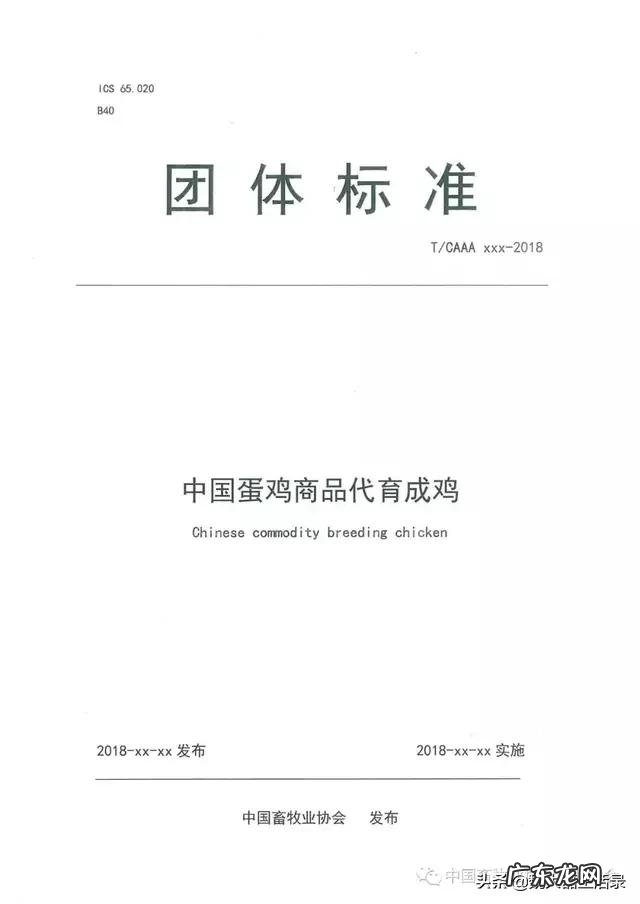 青年鸡行业现在什么状况听说“违约”的情况非常多