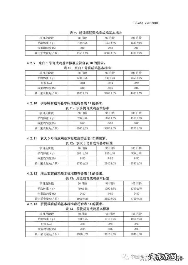青年鸡行业现在什么状况听说“违约”的情况非常多